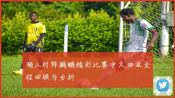 湖人对阵鹈鹕精彩比赛中文回放全程回顾与分析